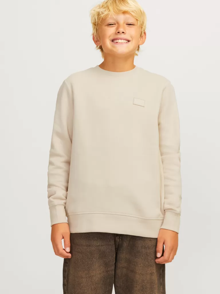 JACK & JONES Bluzy^Gładki Bluza Junior Beżowy