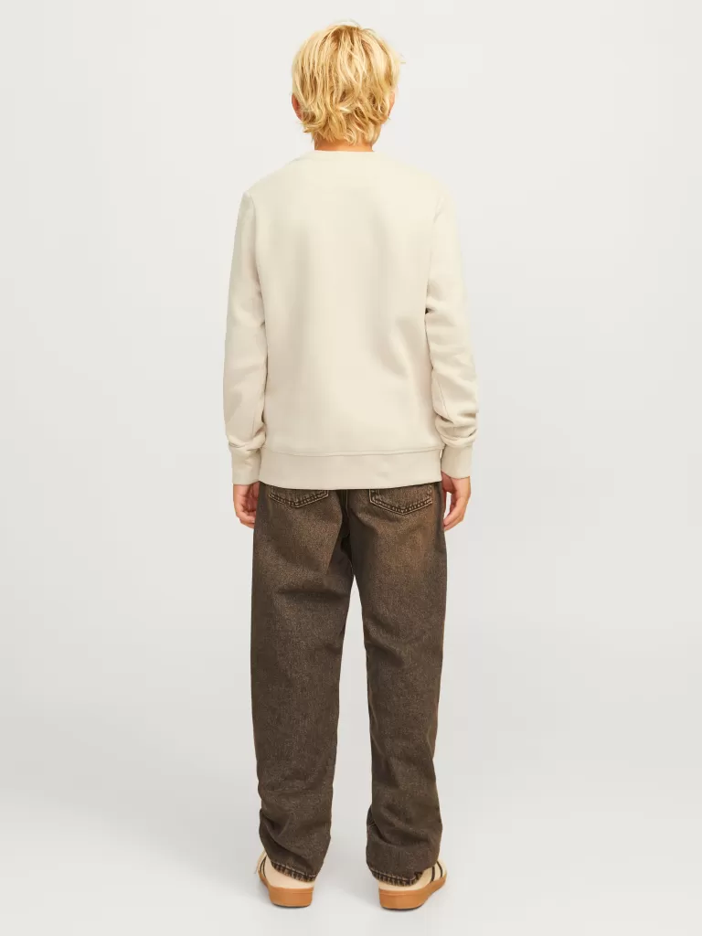 JACK & JONES Bluzy^Gładki Bluza Junior Beżowy