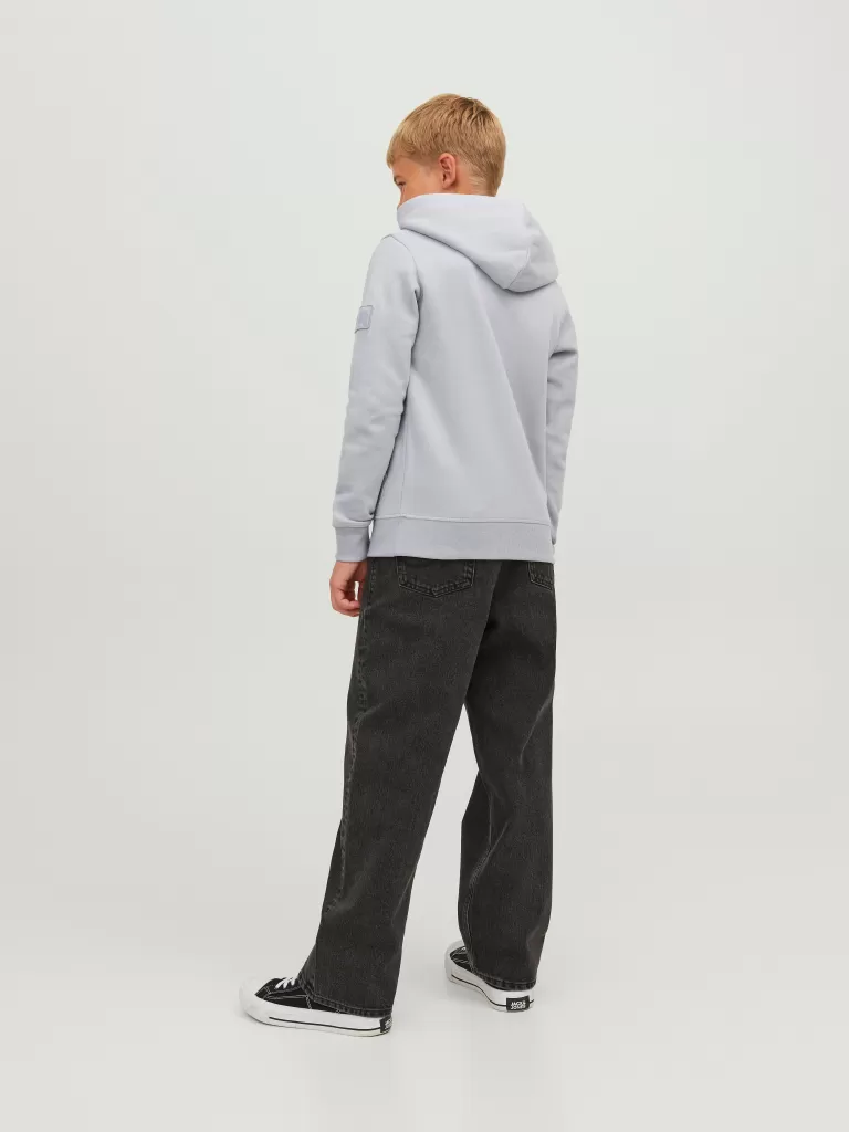 JACK & JONES Bluzy^Gładki Bluza z kapturem Junior Szary