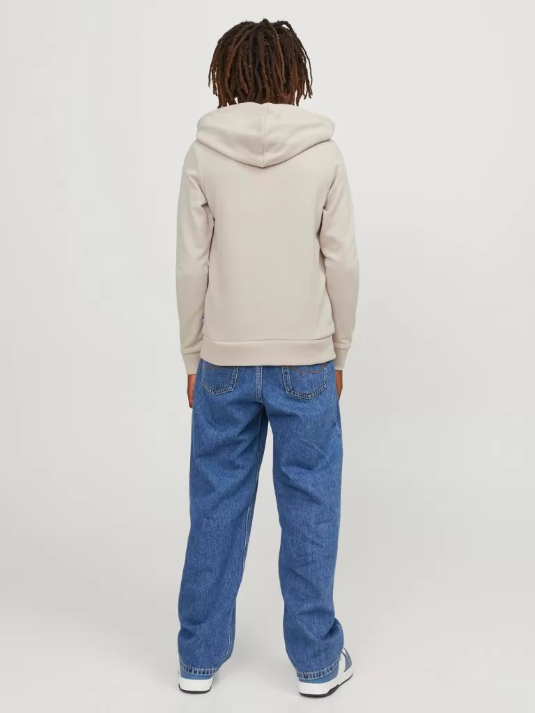 JACK & JONES Bluzy^Gładki Bluza z kapturem Junior Beżowy