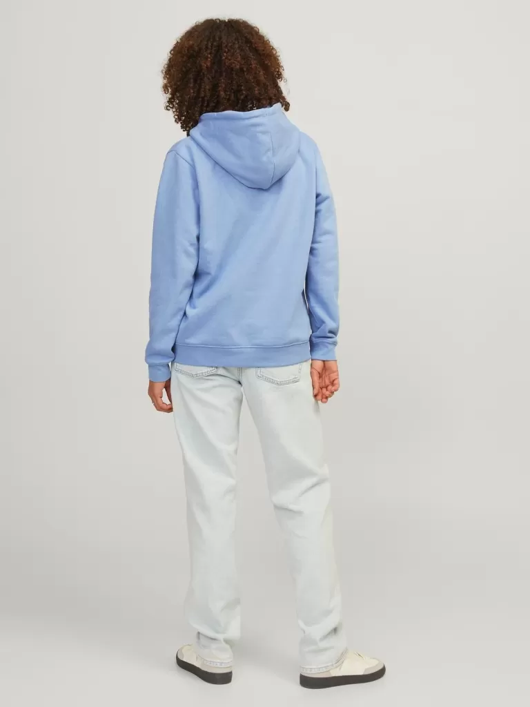 JACK & JONES Bluzy^JXABBIE Bluza z kapturem Niebieski