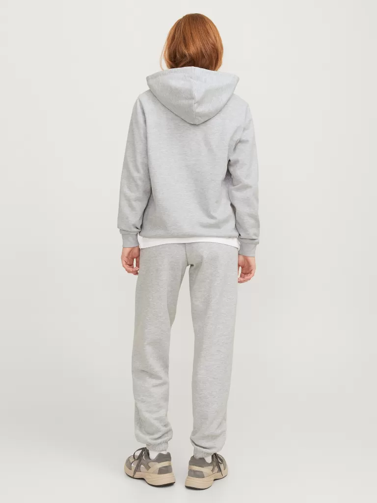 JACK & JONES Bluzy^JXABBIE Bluza z kapturem Szary