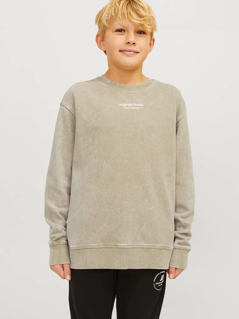 JACK & JONES Bluzy | Wyprzedaż^Nadruk Bluza Junior Beżowy