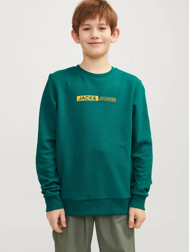 JACK & JONES Bluzy | Wyprzedaż^Nadruk Bluza Junior Zielony