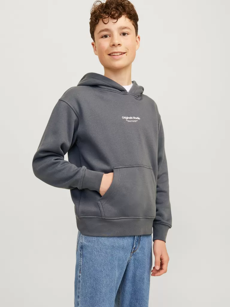 JACK & JONES Bluzy | Wyprzedaż^Nadruk Bluza z kapturem Junior Szary
