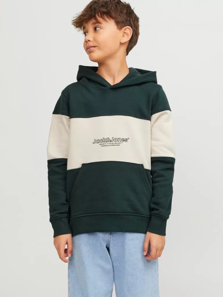 JACK & JONES Bluzy | Wyprzedaż^Nadruk Bluza z kapturem Junior Zielony