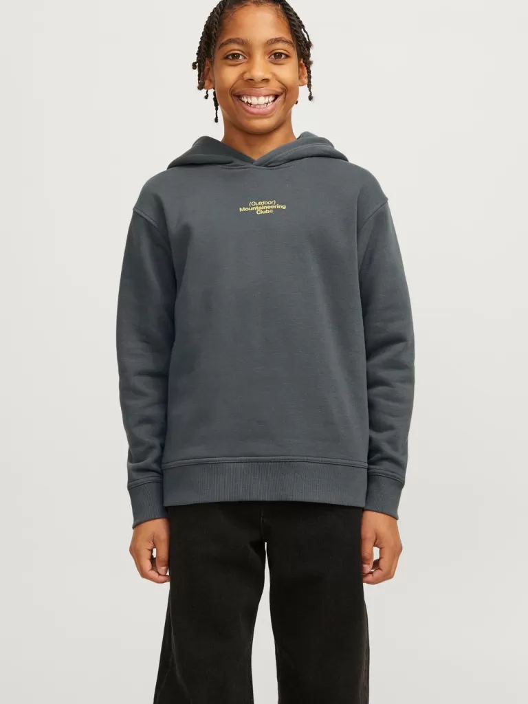 JACK & JONES Bluzy^Nadruk Bluza z kapturem Junior Szary