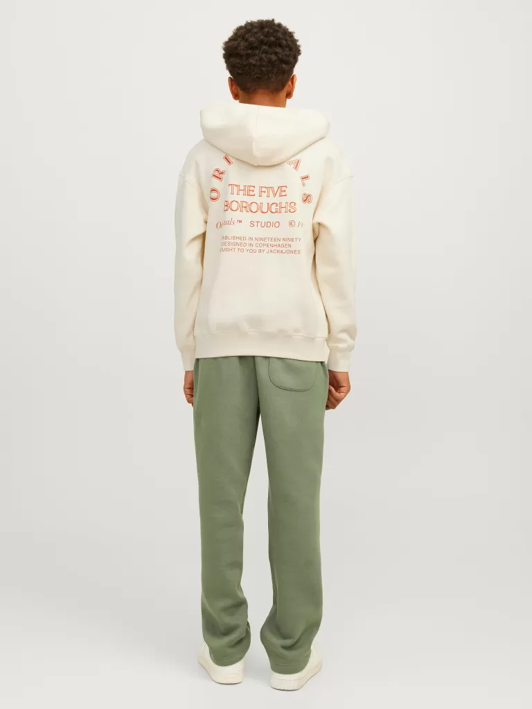 JACK & JONES Bluzy | Wyprzedaż^Nadruk Bluza z kapturem Junior Biały