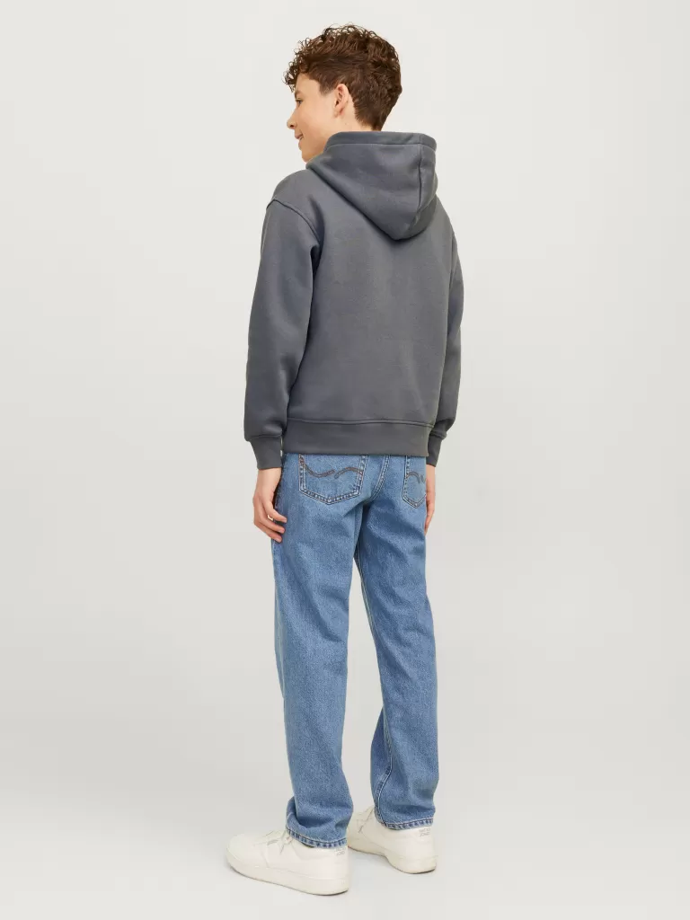 JACK & JONES Bluzy | Wyprzedaż^Nadruk Bluza z kapturem Junior Szary