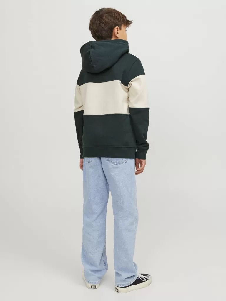 JACK & JONES Bluzy | Wyprzedaż^Nadruk Bluza z kapturem Junior Zielony