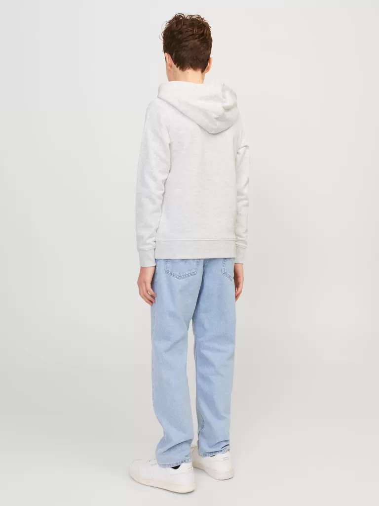 JACK & JONES Bluzy | Wyprzedaż^Nadruk Bluza z kapturem Junior Szary