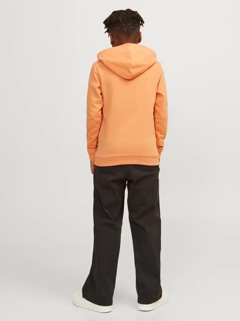 JACK & JONES Bluzy | Wyprzedaż^Nadruk Bluza z kapturem Junior Pomarańczowy