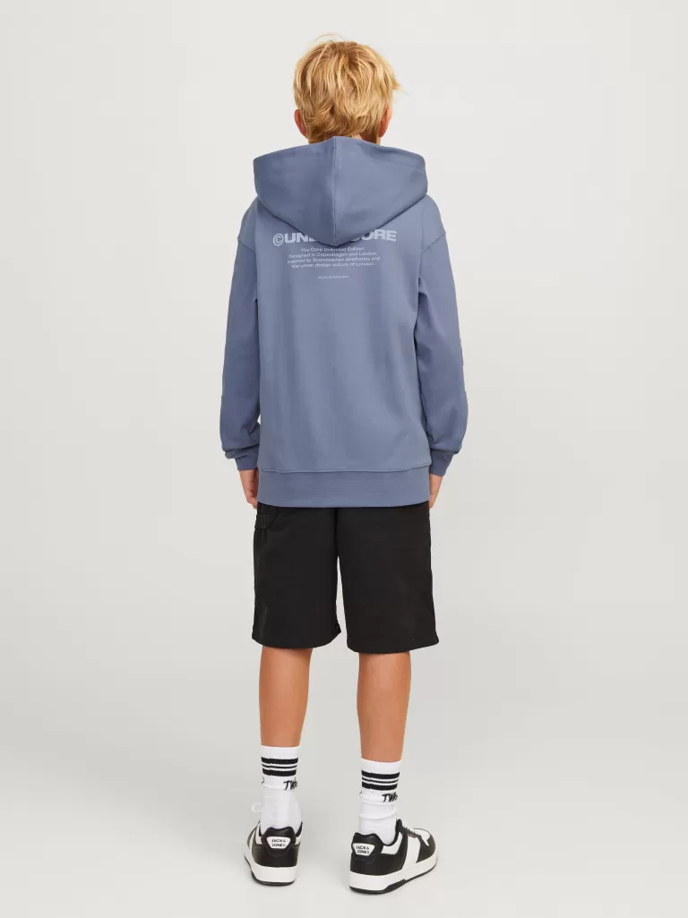 JACK & JONES Bluzy^Nadruk Bluza z kapturem Junior Niebieski