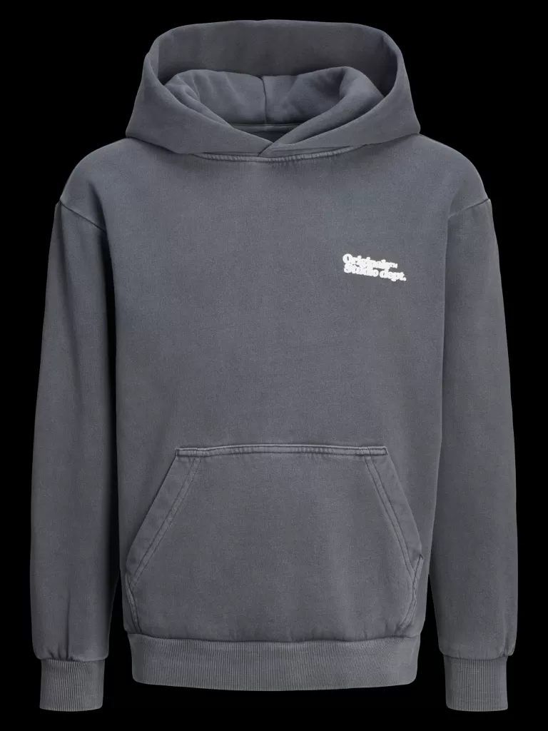 JACK & JONES Bluzy^Nadruk Bluza z kapturem Mini Szary