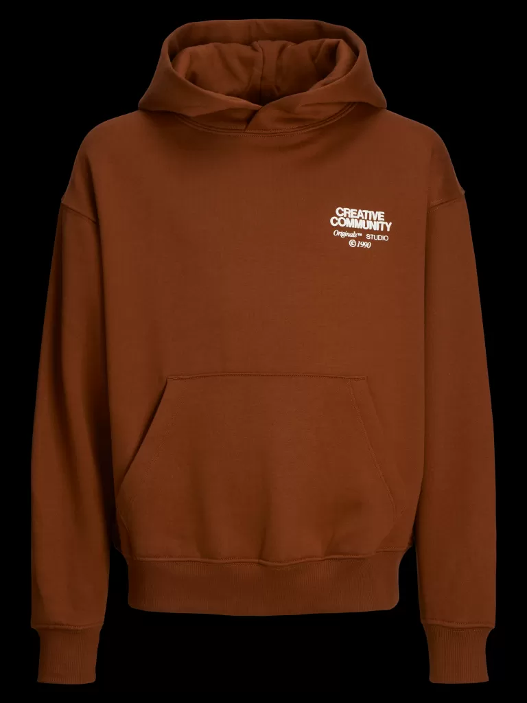 JACK & JONES Bluzy^Nadruk Bluza z kapturem Mini Brązowy