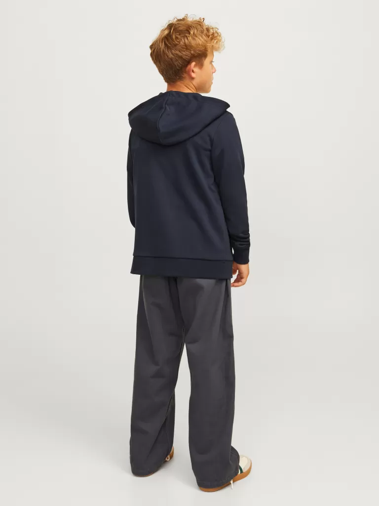 JACK & JONES Spodnie^Spodnie robocze Junior Szary
