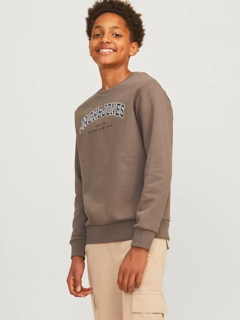 JACK & JONES Bluzy^Z logo Bluza Junior Brązowy