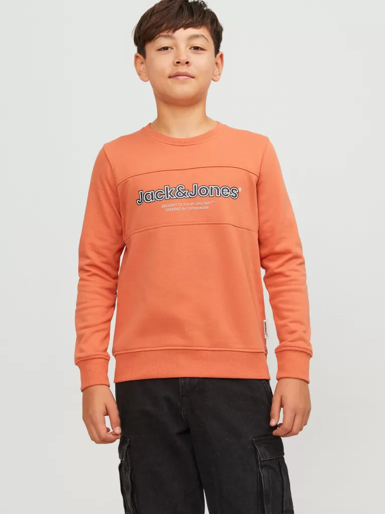 JACK & JONES Bluzy | Wyprzedaż^Z logo Bluza Junior Pomarańczowy