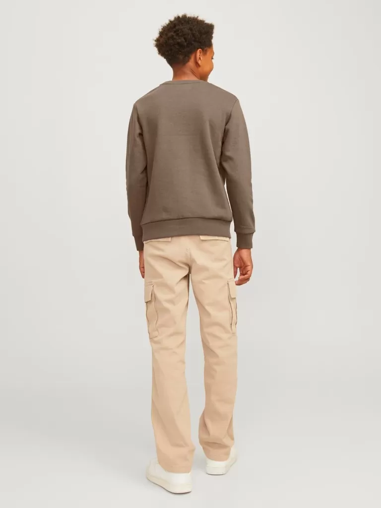 JACK & JONES Bluzy^Z logo Bluza Junior Brązowy