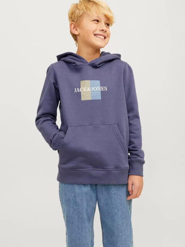 JACK & JONES Bluzy^Z logo Bluza z kapturem Junior Niebieski