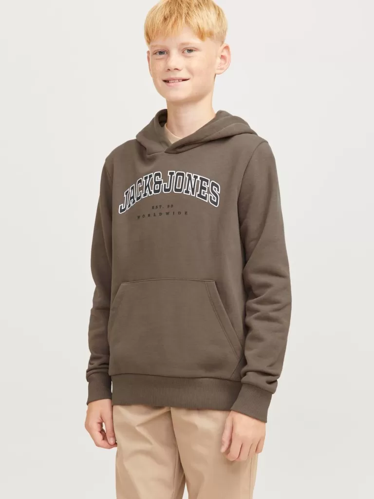 JACK & JONES Bluzy^Z logo Bluza z kapturem Junior Brązowy