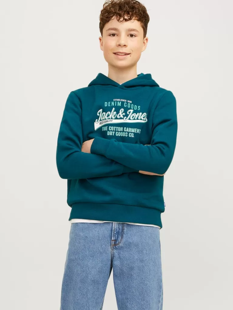 JACK & JONES Bluzy^Z logo Bluza z kapturem Junior Niebieski