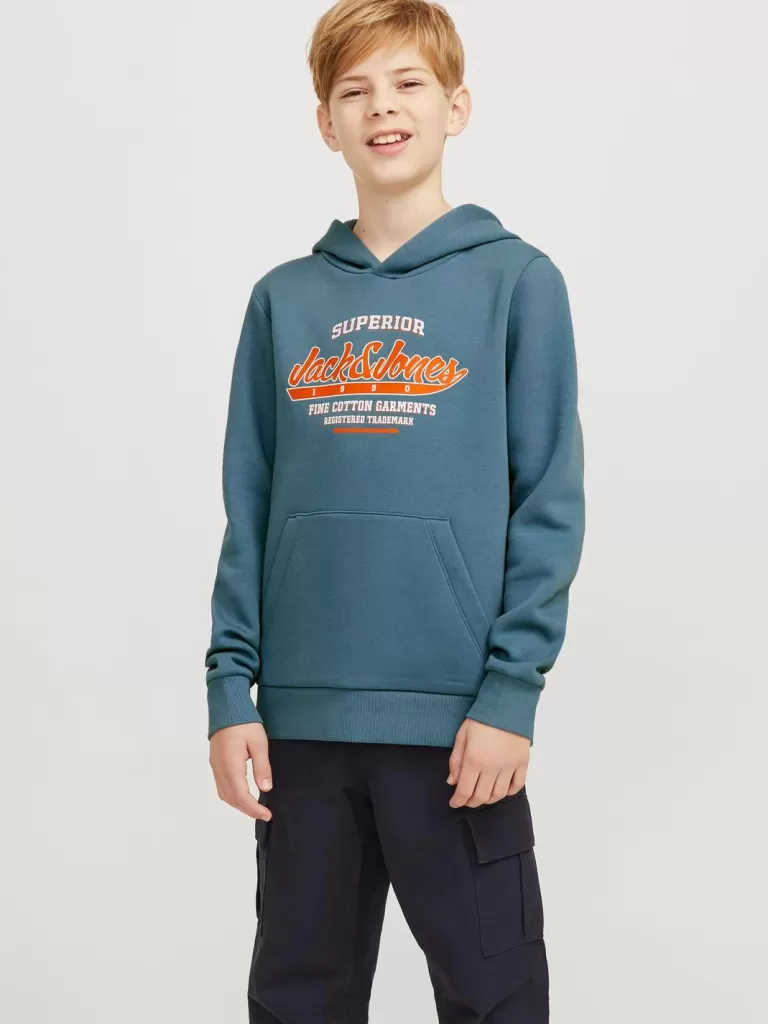 JACK & JONES Bluzy^Z logo Bluza z kapturem Junior Niebieski