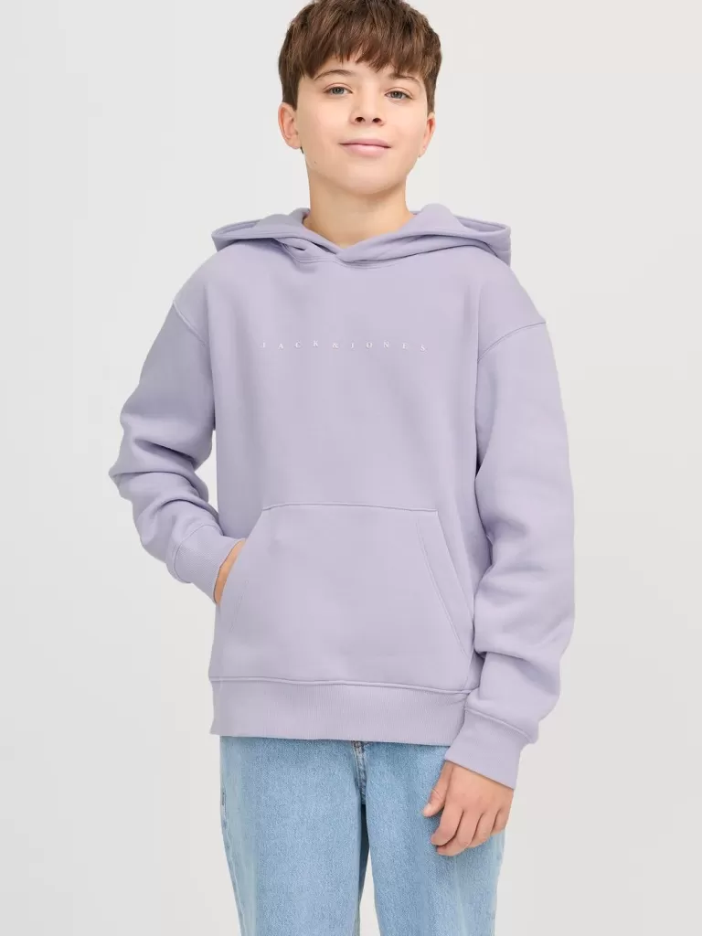 JACK & JONES Bluzy^Z logo Bluza z kapturem Junior Fioletowy