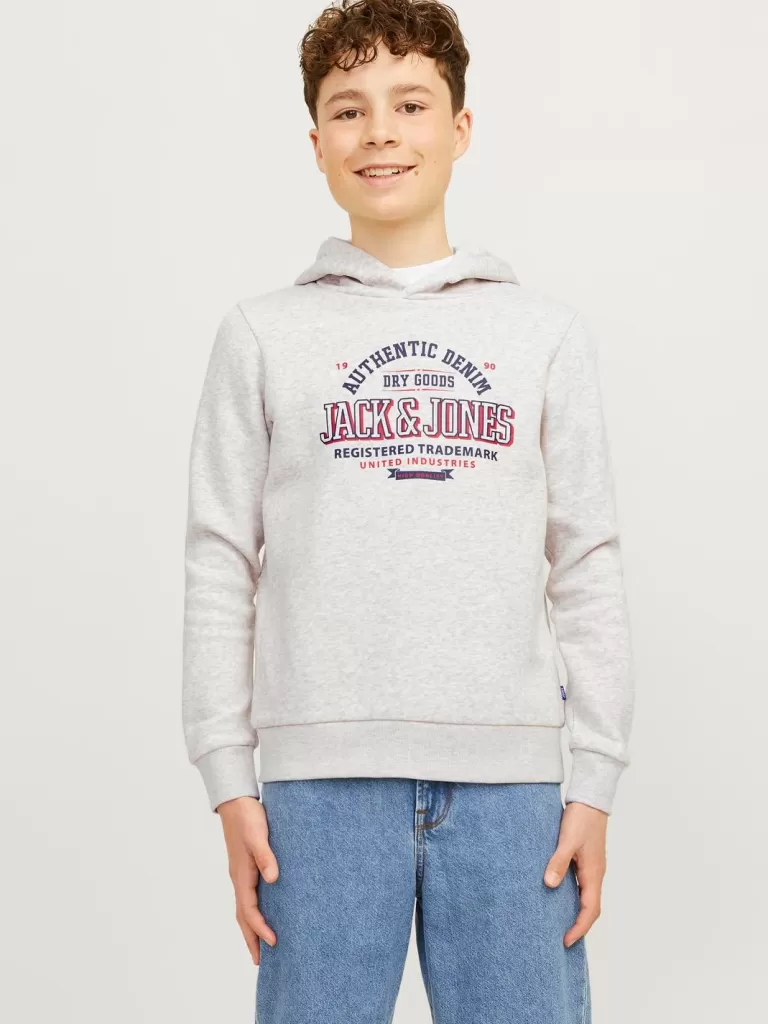 JACK & JONES Bluzy^Z logo Bluza z kapturem Junior Szary