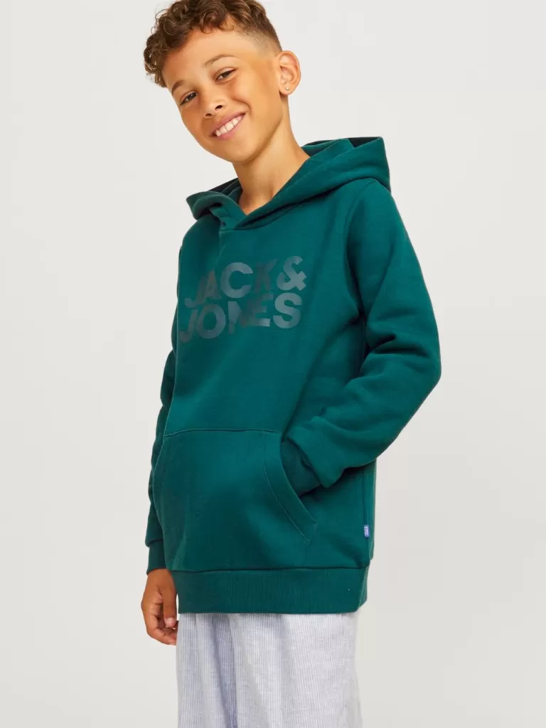 JACK & JONES Bluzy^Z logo Bluza z kapturem Junior Zielony