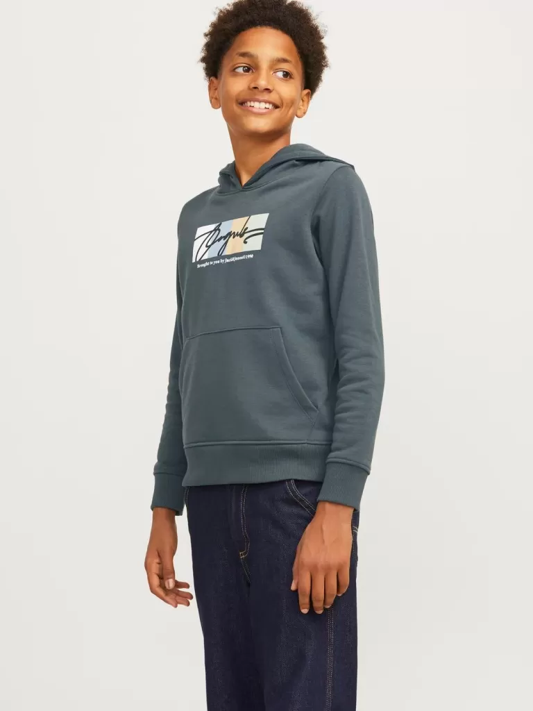 JACK & JONES Bestsellery | Bluzy^Z logo Bluza z kapturem Junior Szary