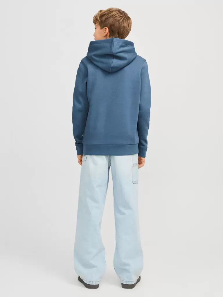 JACK & JONES Bluzy^Z logo Bluza z kapturem Junior Niebieski