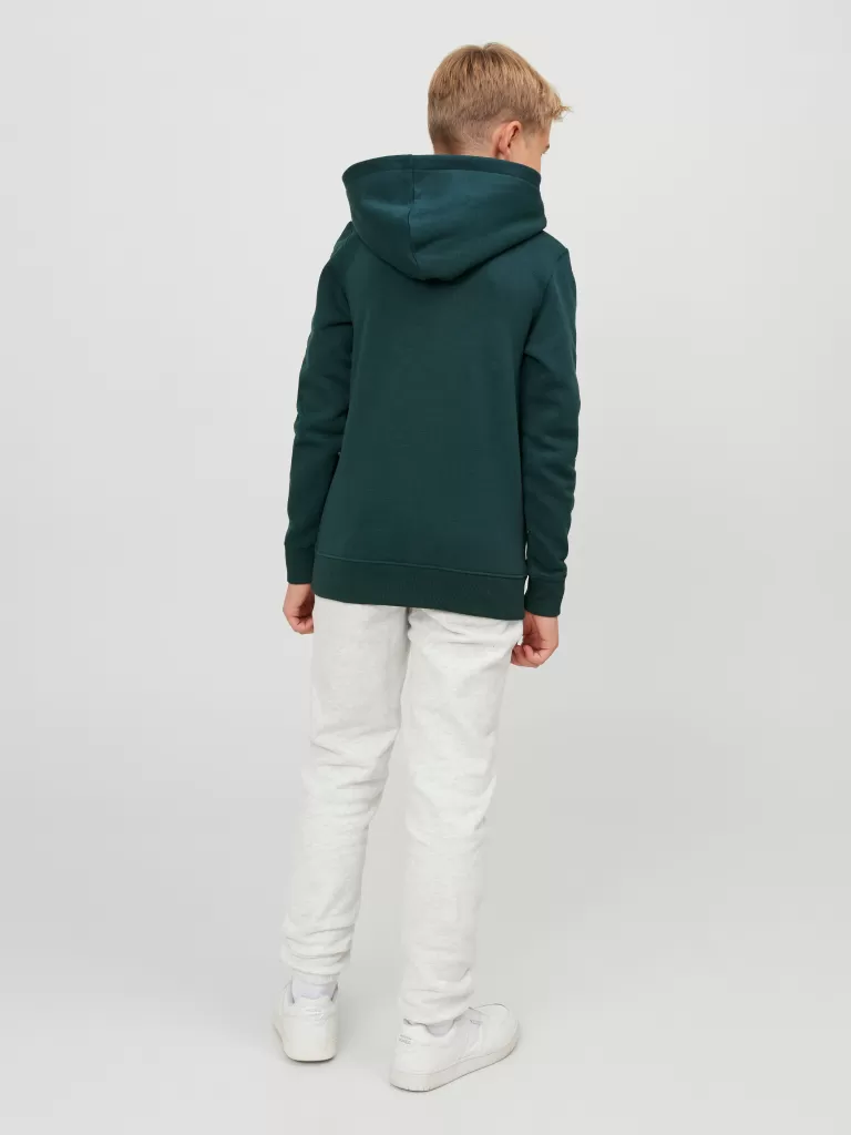 JACK & JONES Bluzy | Wyprzedaż^Z logo Bluza z kapturem Junior Zielony