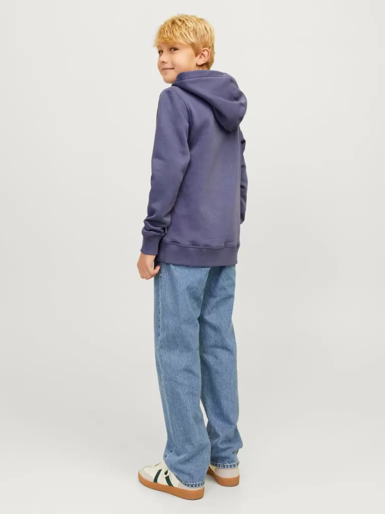 JACK & JONES Bluzy^Z logo Bluza z kapturem Junior Niebieski