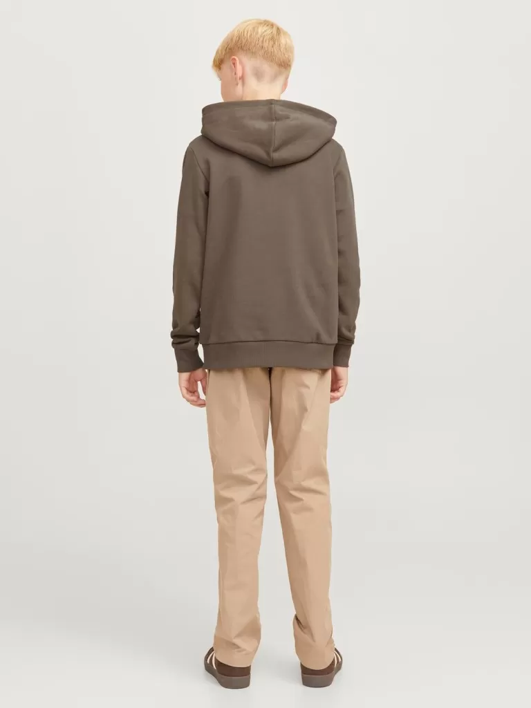 JACK & JONES Bluzy^Z logo Bluza z kapturem Junior Brązowy