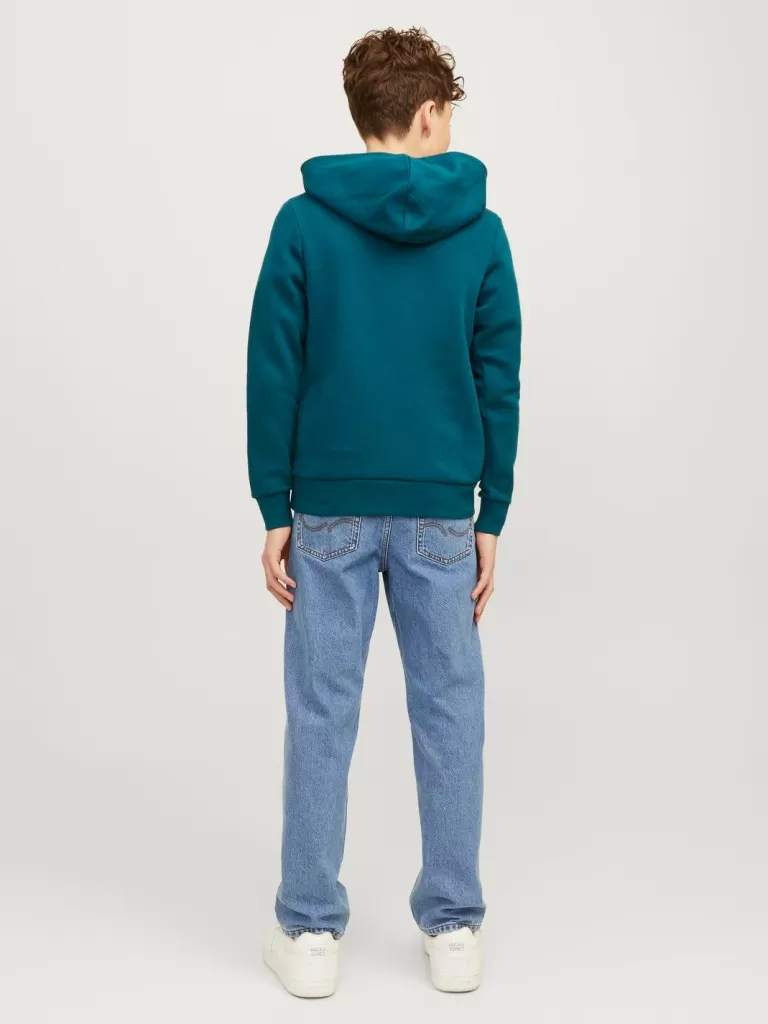 JACK & JONES Bluzy^Z logo Bluza z kapturem Junior Niebieski