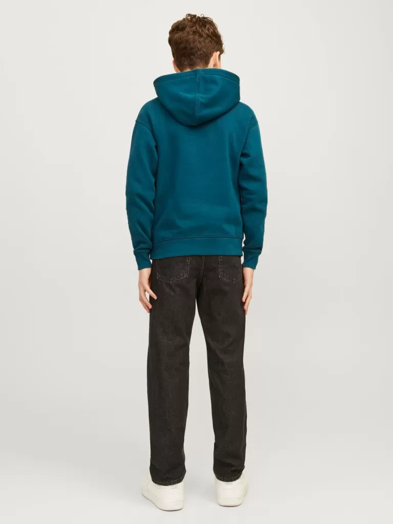 JACK & JONES Bluzy^Z logo Bluza z kapturem Junior Zielony