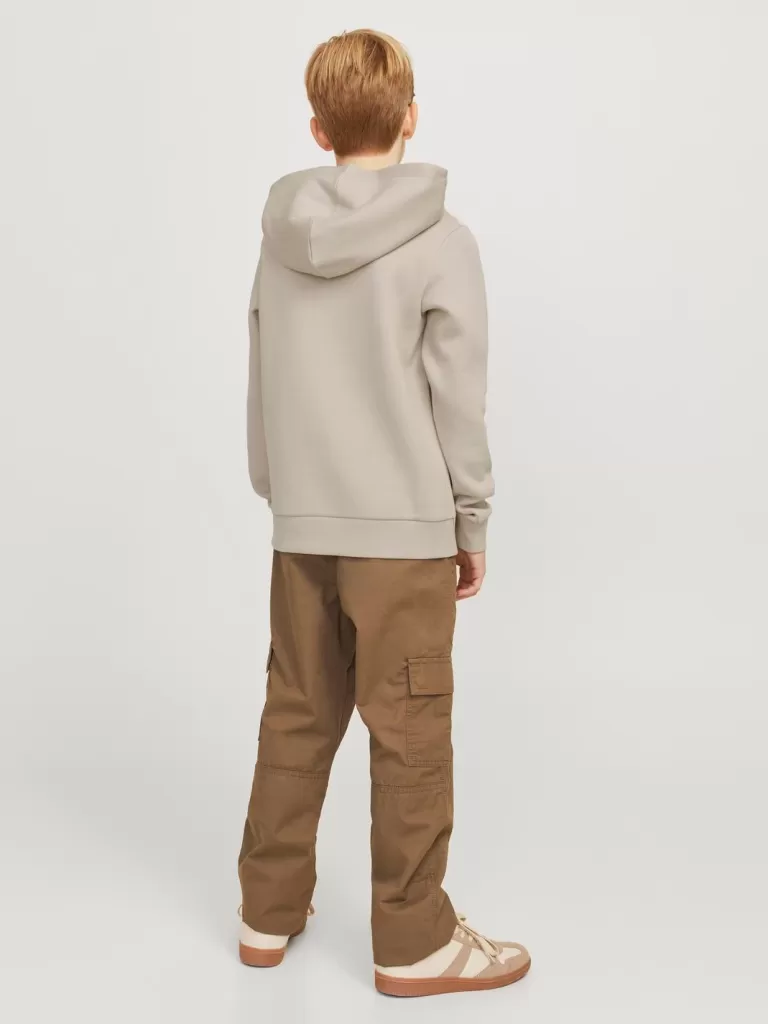 JACK & JONES Bluzy^Z logo Bluza z kapturem Junior Beżowy