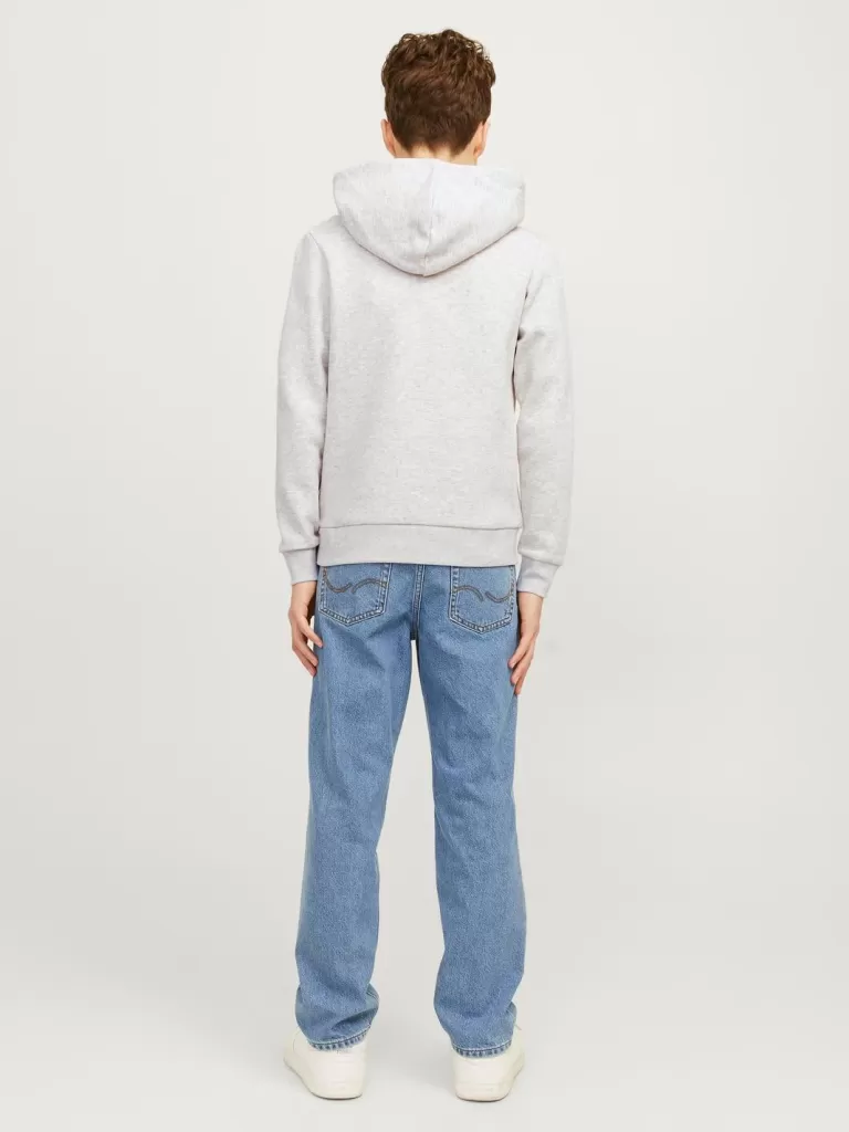 JACK & JONES Bluzy^Z logo Bluza z kapturem Junior Szary