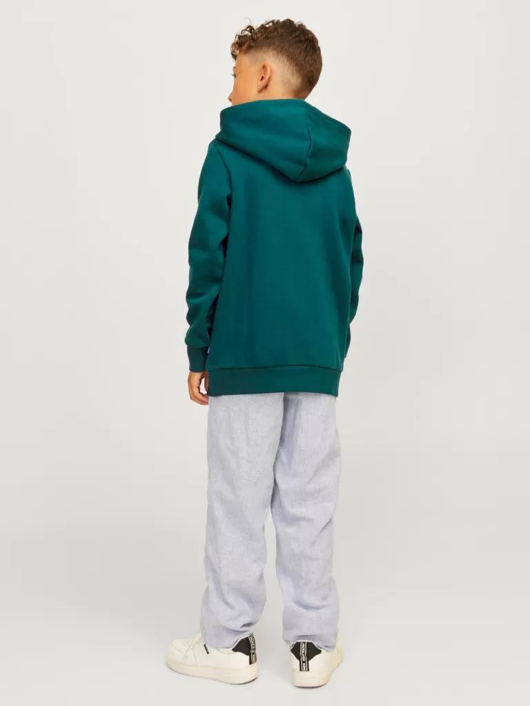 JACK & JONES Bluzy^Z logo Bluza z kapturem Junior Zielony