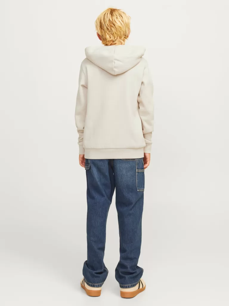 JACK & JONES Bluzy^Z logo Bluza z kapturem Junior Beżowy