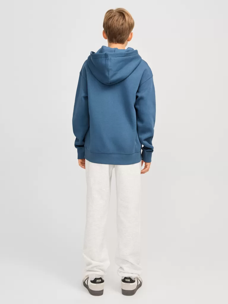 JACK & JONES Bluzy^Z logo Bluza z kapturem Junior Niebieski