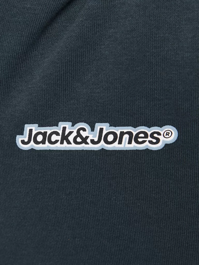JACK & JONES Bluzy^Z logo Bluza z kapturem zapinana na suwak Junior Szary